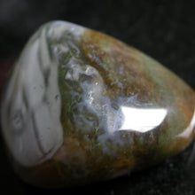 Load image into Gallery viewer, Brazilian Bloodstone - Song of Stones