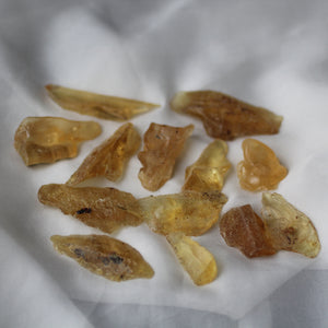 Copal Amber