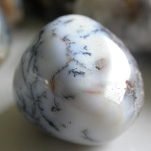Load image into Gallery viewer, Dendritic Agate Tumbles - Song of Stones