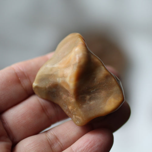 Golden Dragon Bones Desert Jasper