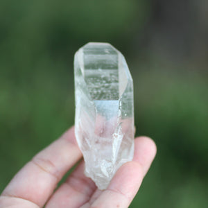 Lemurian 7