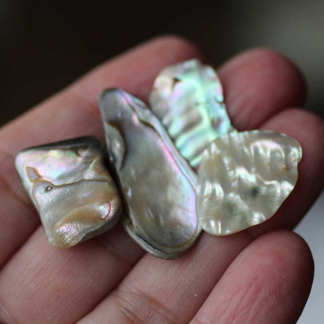 Paua Abalone Shell pair - Song of Stones