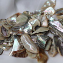 Load image into Gallery viewer, Paua Abalone Shell pair - Song of Stones