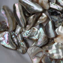 Load image into Gallery viewer, Paua Abalone Shell pair - Song of Stones