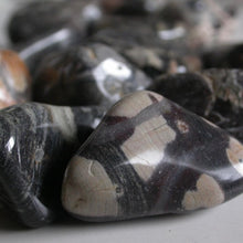 Load image into Gallery viewer, Silver Mist Jasper - Song of Stones