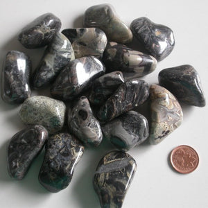 Silver Mist Jasper - Song of Stones