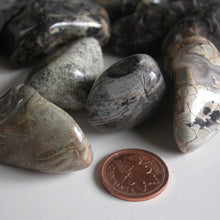 Load image into Gallery viewer, Silver Mist Jasper - Song of Stones