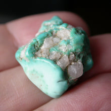 Load image into Gallery viewer, Takanuta Turquoise with Quartz - Song of Stones