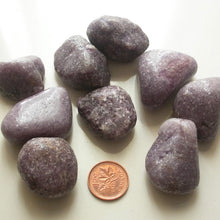 Load image into Gallery viewer, Tumbled Lepidolite - Song of Stones