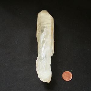 Broken and Whole - Dolphin Key Yellow Quartz Crystal - Song of Stones