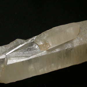 Broken and Whole - Dolphin Key Yellow Quartz Crystal - Song of Stones